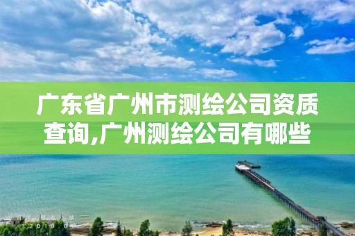 广东省广州市测绘公司资质查询,广州测绘公司有哪些