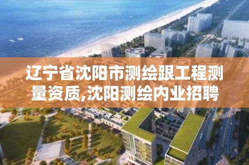 辽宁省沈阳市测绘跟工程测量资质,沈阳测绘内业招聘