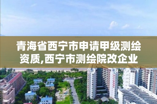 青海省西宁市申请甲级测绘资质,西宁市测绘院改企业