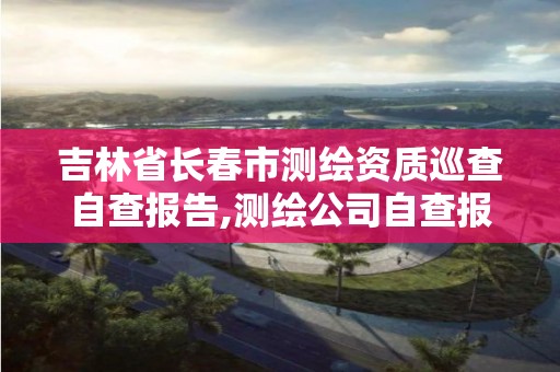 吉林省长春市测绘资质巡查自查报告,测绘公司自查报告。