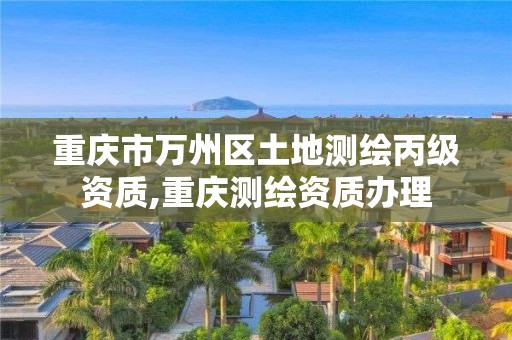 重庆市万州区土地测绘丙级资质,重庆测绘资质办理