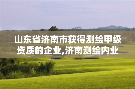 山东省济南市获得测绘甲级资质的企业,济南测绘内业招聘