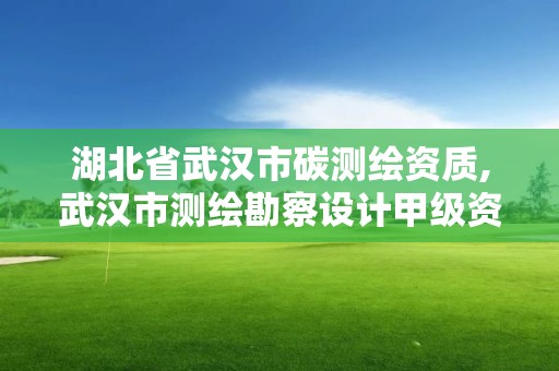 湖北省武汉市碳测绘资质,武汉市测绘勘察设计甲级资质公司