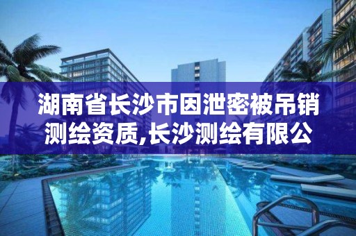 湖南省长沙市因泄密被吊销测绘资质,长沙测绘有限公司联系电话