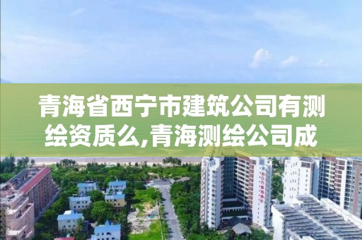 青海省西宁市建筑公司有测绘资质么,青海测绘公司成员名单