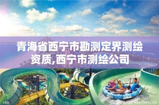 青海省西宁市勘测定界测绘资质,西宁市测绘公司