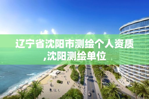 辽宁省沈阳市测绘个人资质,沈阳测绘单位