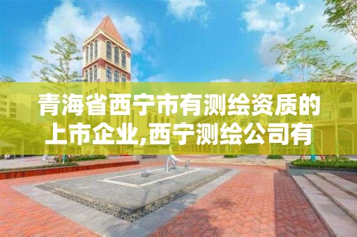 青海省西宁市有测绘资质的上市企业,西宁测绘公司有哪些。