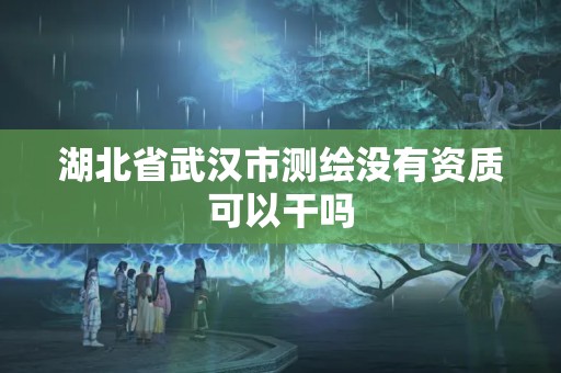 湖北省武汉市测绘没有资质可以干吗