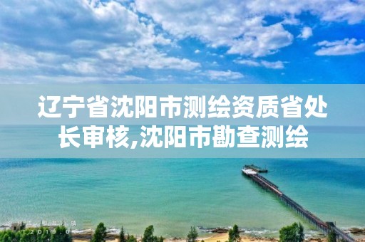 辽宁省沈阳市测绘资质省处长审核,沈阳市勘查测绘