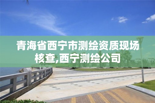 青海省西宁市测绘资质现场核查,西宁测绘公司