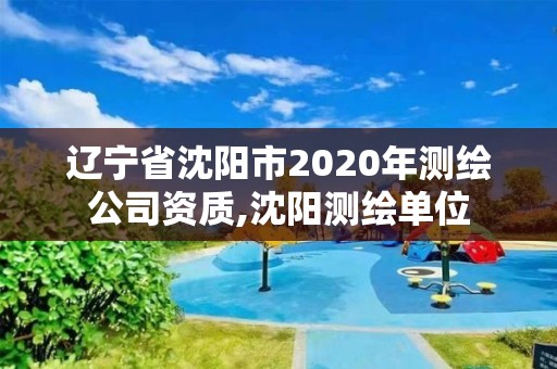 辽宁省沈阳市2020年测绘公司资质,沈阳测绘单位