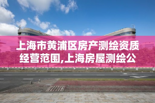 上海市黄浦区房产测绘资质经营范围,上海房屋测绘公司有哪几家