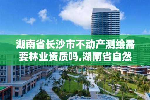 湖南省长沙市不动产测绘需要林业资质吗,湖南省自然资源厅关于延长测绘资质证书有效期的公告。