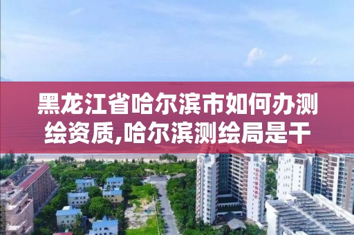 黑龙江省哈尔滨市如何办测绘资质,哈尔滨测绘局是干什么的