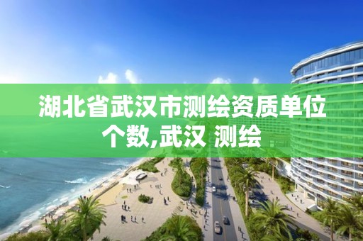 湖北省武汉市测绘资质单位个数,武汉 测绘