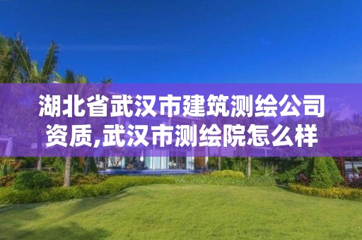 湖北省武汉市建筑测绘公司资质,武汉市测绘院怎么样