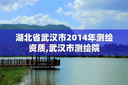 湖北省武汉市2014年测绘资质,武汉市测绘院