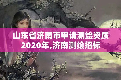 山东省济南市申请测绘资质2020年,济南测绘招标