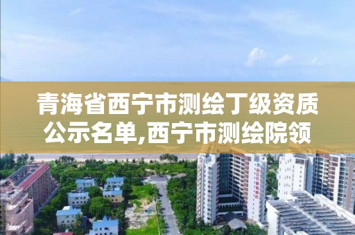 青海省西宁市测绘丁级资质公示名单,西宁市测绘院领导班子成员