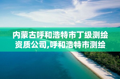 内蒙古呼和浩特市丁级测绘资质公司,呼和浩特市测绘局