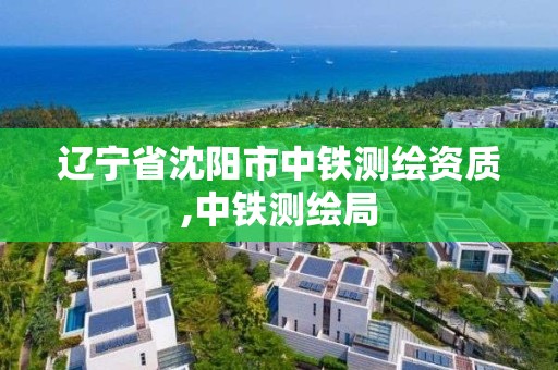 辽宁省沈阳市中铁测绘资质,中铁测绘局