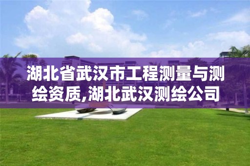 湖北省武汉市工程测量与测绘资质,湖北武汉测绘公司排行榜