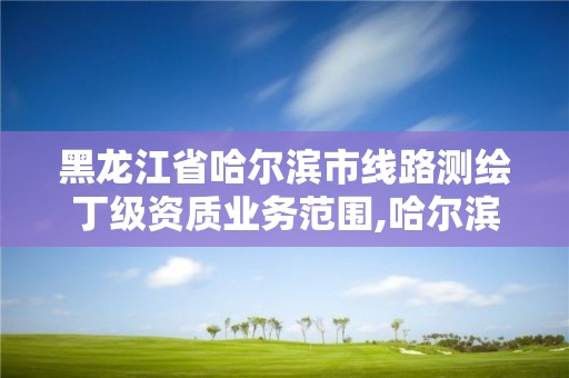 黑龙江省哈尔滨市线路测绘丁级资质业务范围,哈尔滨测绘局幼儿园是民办还是公办。