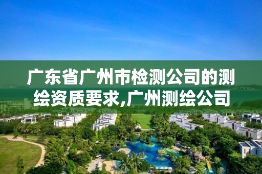 广东省广州市检测公司的测绘资质要求,广州测绘公司有哪些。