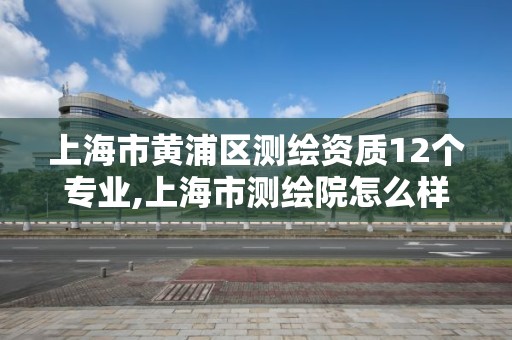 上海市黄浦区测绘资质12个专业,上海市测绘院怎么样