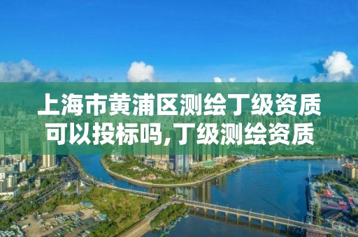 上海市黄浦区测绘丁级资质可以投标吗,丁级测绘资质执业范围