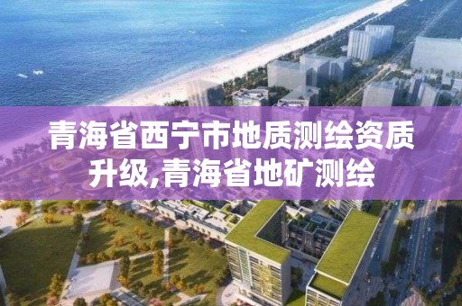 青海省西宁市地质测绘资质升级,青海省地矿测绘