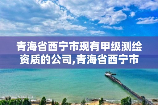 青海省西宁市现有甲级测绘资质的公司,青海省西宁市现有甲级测绘资质的公司名单