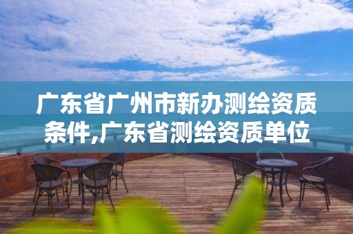 广东省广州市新办测绘资质条件,广东省测绘资质单位名单