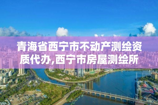 青海省西宁市不动产测绘资质代办,西宁市房屋测绘所