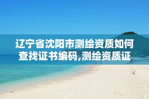 辽宁省沈阳市测绘资质如何查找证书编码,测绘资质证件如何查询