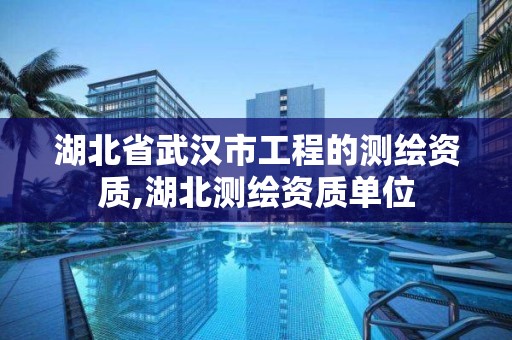 湖北省武汉市工程的测绘资质,湖北测绘资质单位