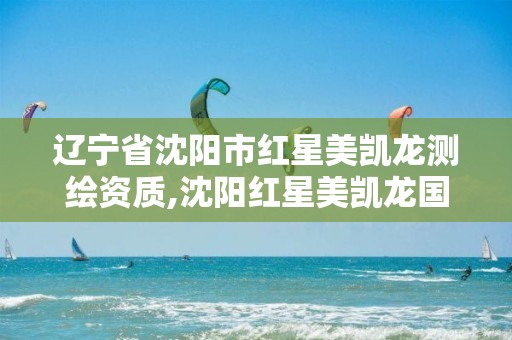 辽宁省沈阳市红星美凯龙测绘资质,沈阳红星美凯龙国际馆