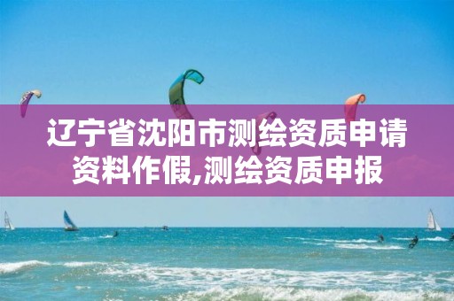 辽宁省沈阳市测绘资质申请资料作假,测绘资质申报