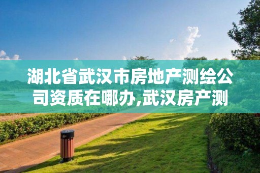 湖北省武汉市房地产测绘公司资质在哪办,武汉房产测绘中心待遇怎么样。