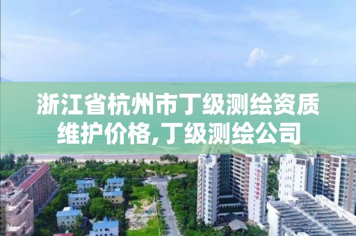 浙江省杭州市丁级测绘资质维护价格,丁级测绘公司