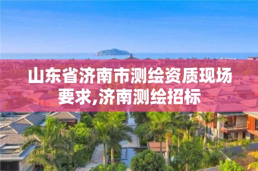 山东省济南市测绘资质现场要求,济南测绘招标