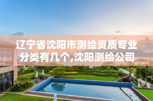 辽宁省沈阳市测绘资质专业分类有几个,沈阳测绘公司招聘信息最新招聘