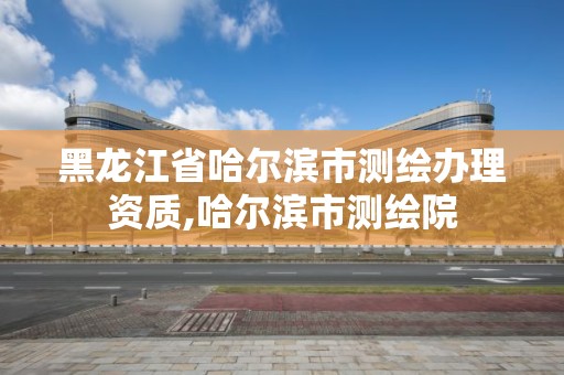 黑龙江省哈尔滨市测绘办理资质,哈尔滨市测绘院