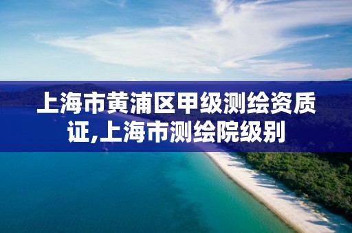 上海市黄浦区甲级测绘资质证,上海市测绘院级别