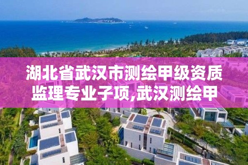 湖北省武汉市测绘甲级资质监理专业子项,武汉测绘甲级资质公司。