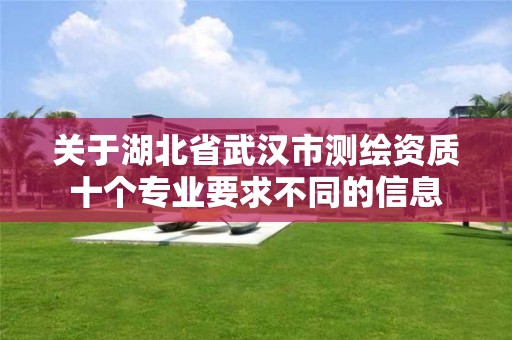 关于湖北省武汉市测绘资质十个专业要求不同的信息