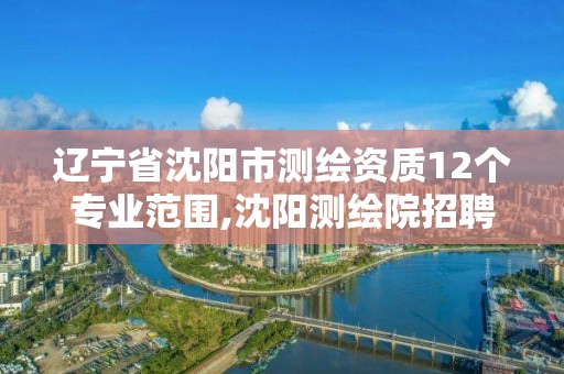 辽宁省沈阳市测绘资质12个专业范围,沈阳测绘院招聘