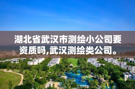 湖北省武汉市测绘小公司要资质吗,武汉测绘类公司。