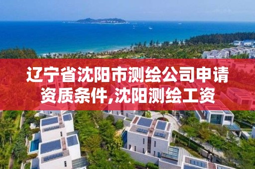 辽宁省沈阳市测绘公司申请资质条件,沈阳测绘工资